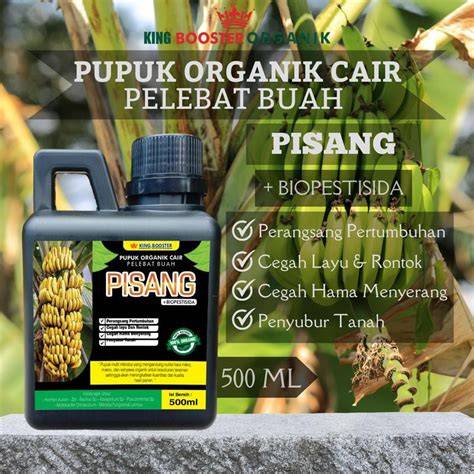 Kulit Pisang Bukan Sampah, tapi Pupuk Cair untuk Tanaman Hias