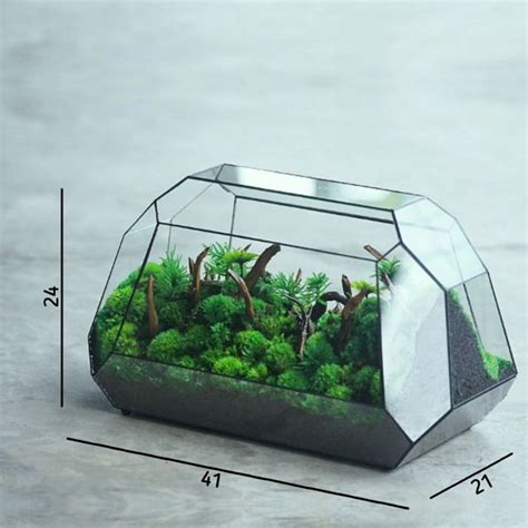 Terrarium Kaca Tertutup Tidak Semudah yang Dibayangkan